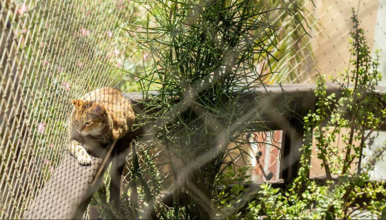 Projelerimizi burdan takip edin